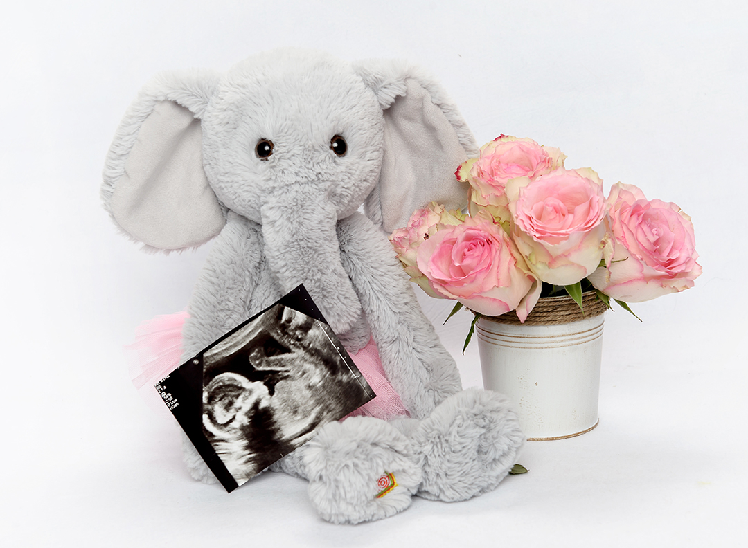 heartbeat teddy bear ultrasound